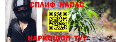 дмт Дубна