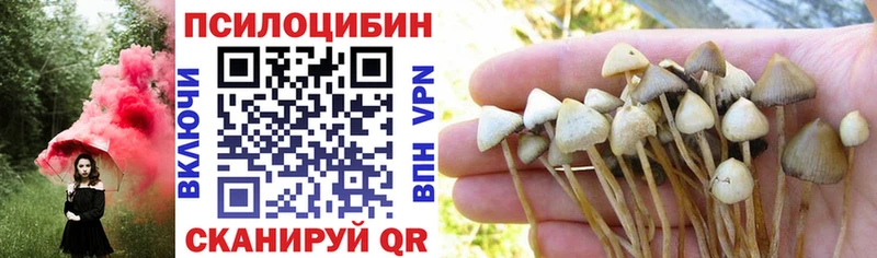 наркота  Новоалтайск  Галлюциногенные грибы мухоморы 